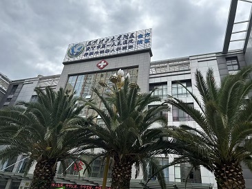 云南省便携式微量元素2024欧洲杯品牌-昆明安宁市第一人民医院安装使用
